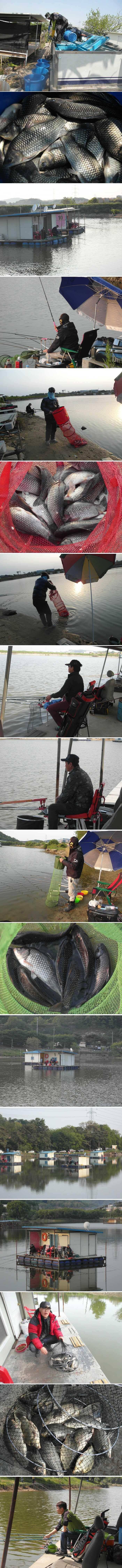배수기 신봉지 조황입니다 (유료터정보 - 유료터점주조황)