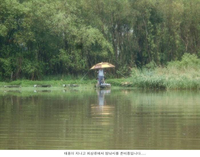 말로만 초강력 태풍이 지나고 (유료터정보 - 유료터점주조황)