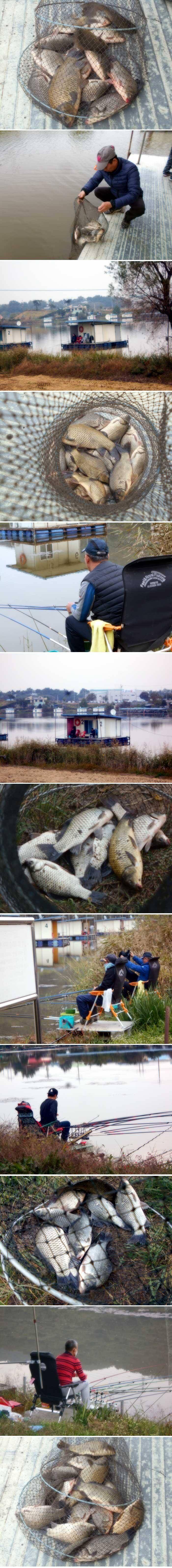 추위만 이긴다면 조황은 (유료터정보 - 유료터점주조황)