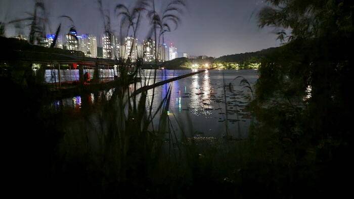 아산 명품 월랑낚시터 6월 첫번째 조황이야기입니다 (유료터정보 - 유료터점주조황)