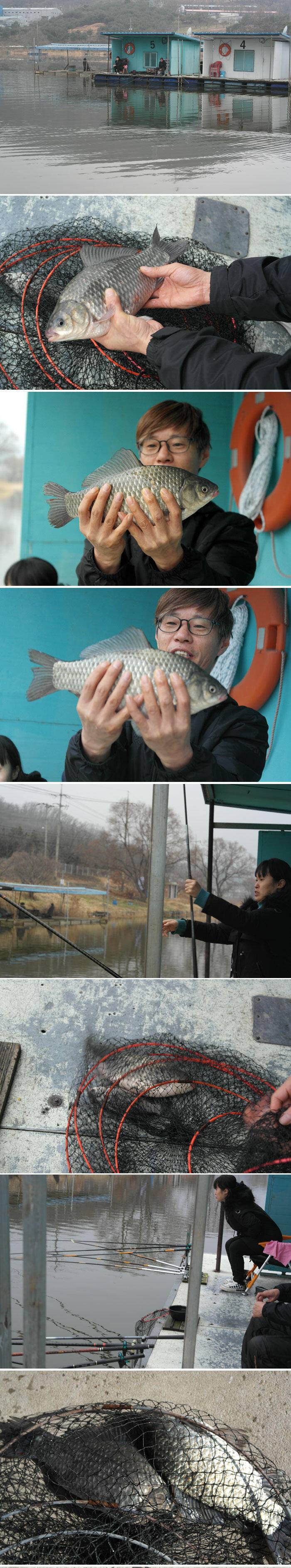 새해 처음올리는 조황입니다 (유료터정보 - 유료터점주조황)