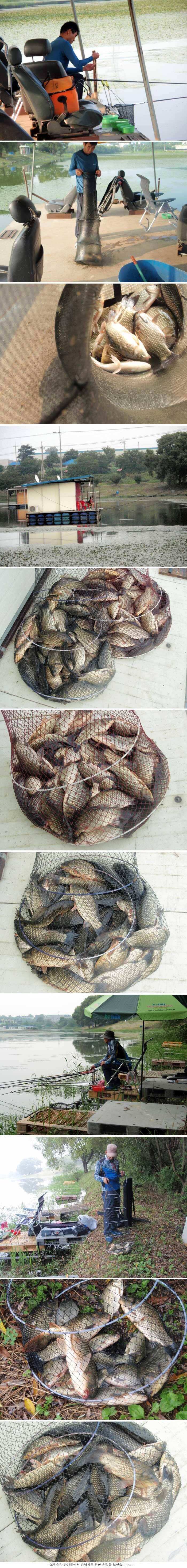 나날이 좋아지고 있습니다 (유료터정보 - 유료터점주조황)