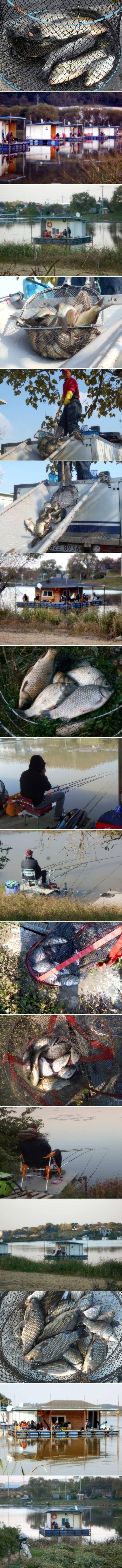 가을은 점점 깊어 갑니다 (유료터정보 - 유료터점주조황)
