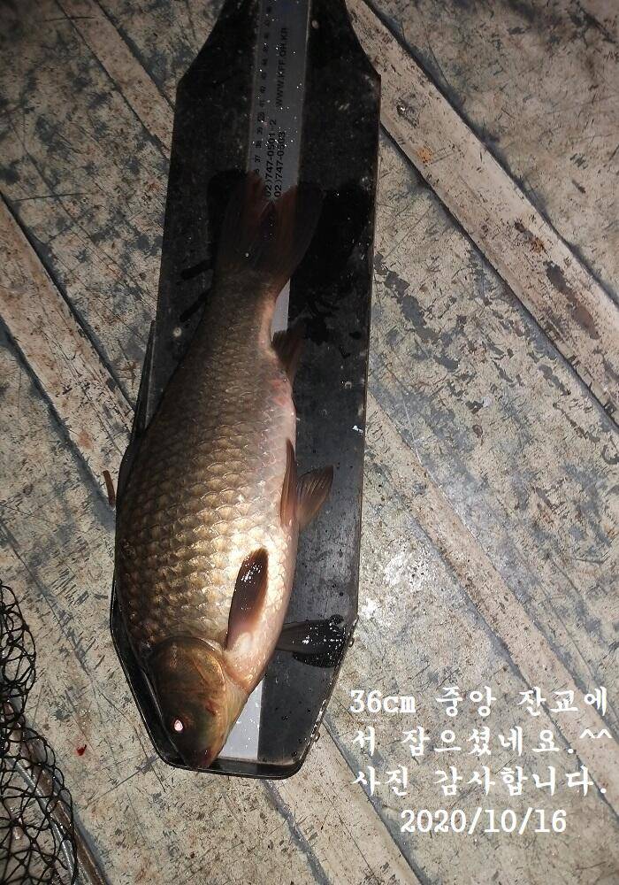 아산신수지 10월 셋째 주말 화보입니다 (유료터정보 - 유료터점주조황)