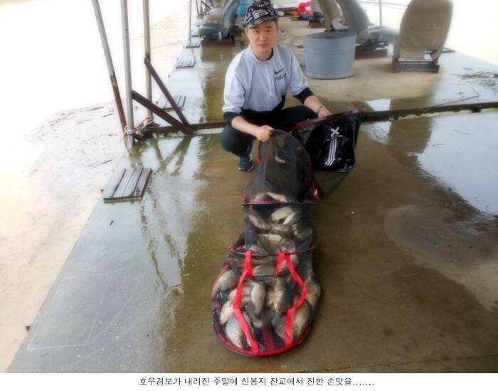 폭우속에 주말을 보냅니다 (유료터정보 - 유료터점주조황)