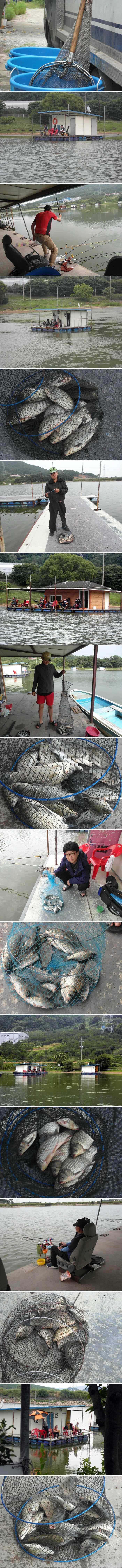 신봉지 점점좋아지고 있습니다 (유료터정보 - 유료터점주조황)