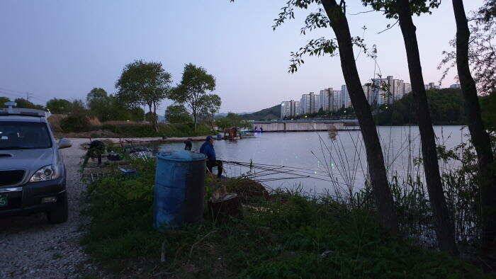 아산 명품 월랑낚시터 5월 첫번째 조황이야기입니다 (유료터정보 - 유료터점주조황)