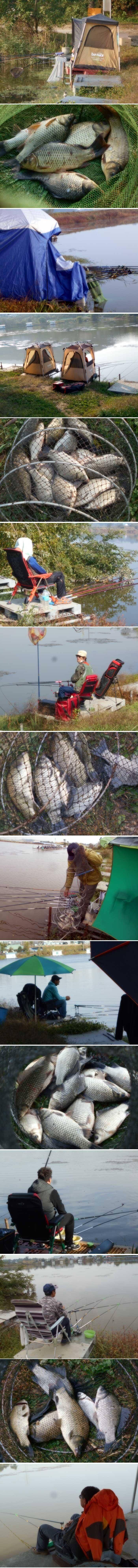 추위속에서도 올라옵니다 (유료터정보 - 유료터점주조황)