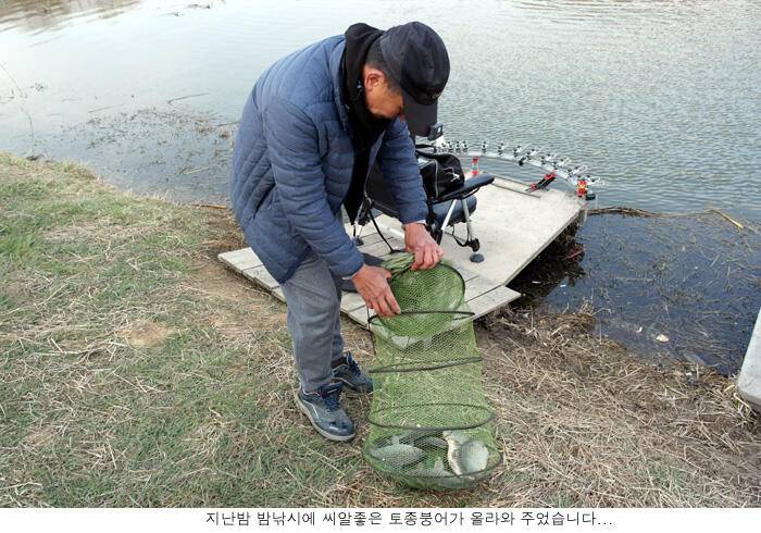 토종터 신봉지 에서 시원한 입질을 (유료터정보 - 유료터점주조황)