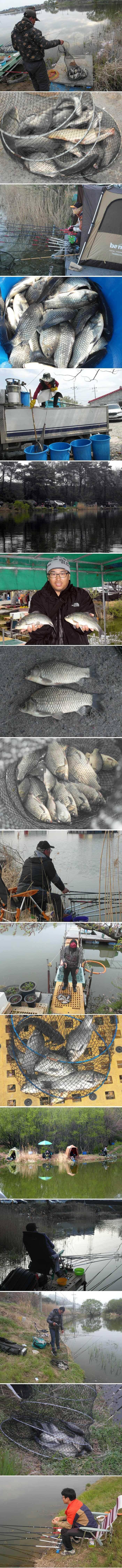 밤낚시 할만 합니다 (유료터정보 - 유료터점주조황)
