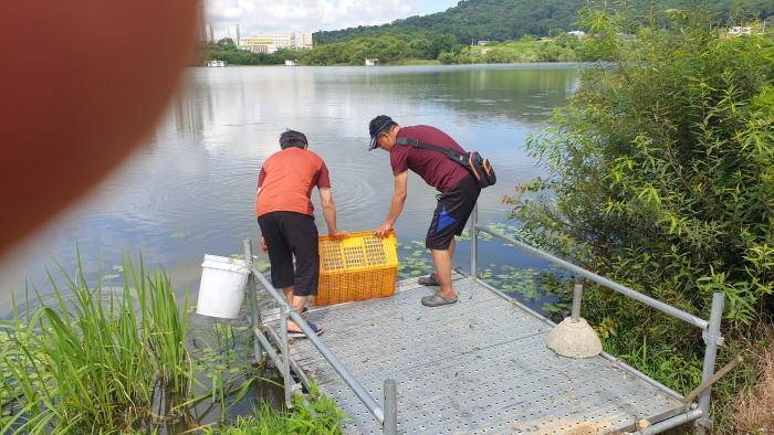 아산 명품 월랑낚시터 7월 세번째 조황이야기입니다 (유료터정보 - 유료터점주조황)
