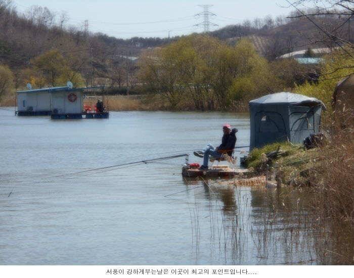 4월 첮 주말은 바람으로 시작합니다 (유료터정보 - 유료터점주조황)