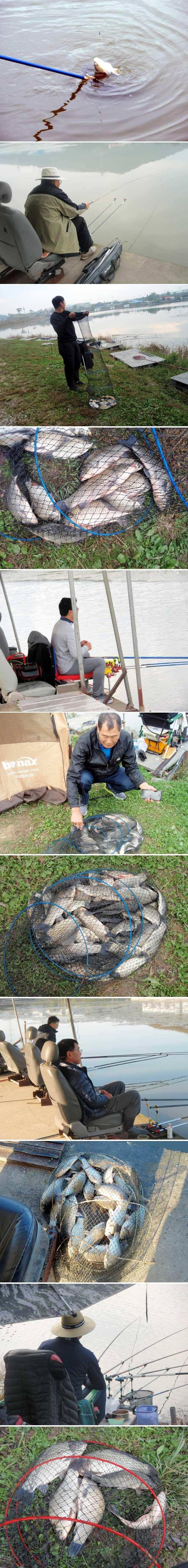 신봉지 방류와 조황입니다 (유료터정보 - 유료터점주조황)