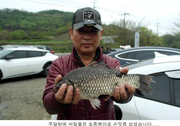 신봉지 토종대물이 움직입니다 (유료터정보 - 유료터점주조황)