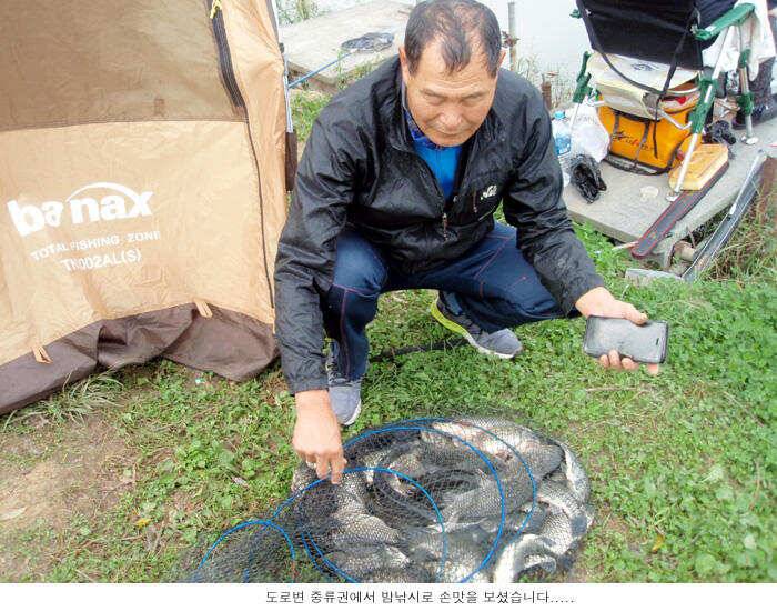 신봉지 방류와 조황입니다 (유료터정보 - 유료터점주조황)