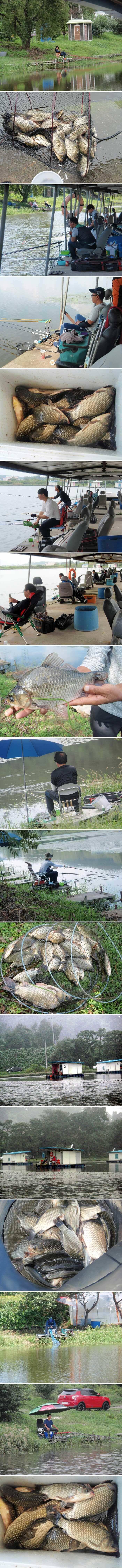 명절을 보내고 다시금 일상으로 (유료터정보 - 유료터점주조황)