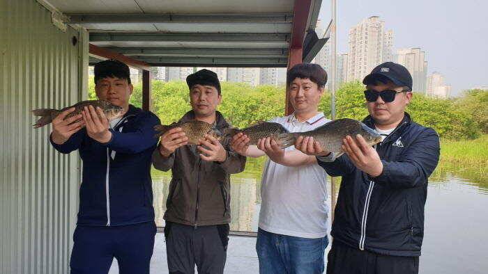 아산 명품 월랑낚시터 5월 두번째 조황이야기입니다 (유료터정보 - 유료터점주조황)