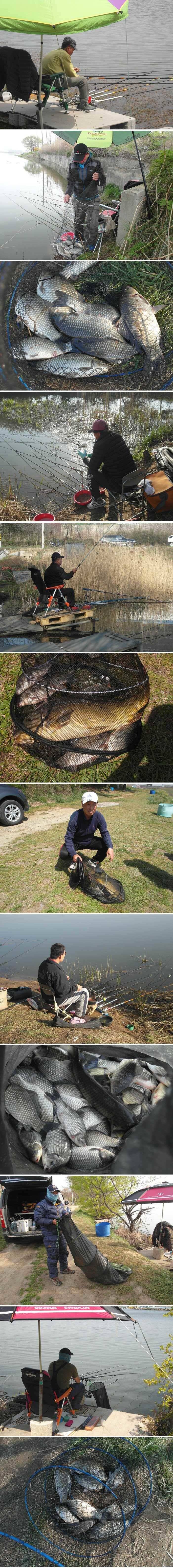 오늘은 씨알보다 마릿수가 나오네요 (유료터정보 - 유료터점주조황)