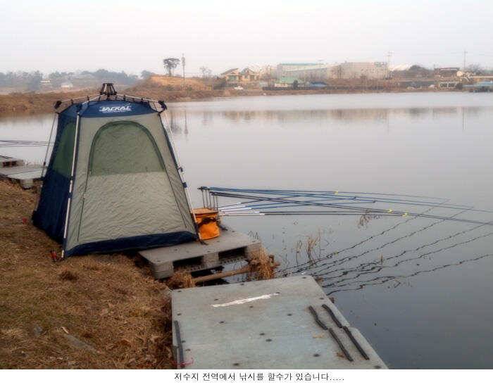 씨알좋은 붕어를 만날수 있습니다 (유료터정보 - 유료터점주조황)