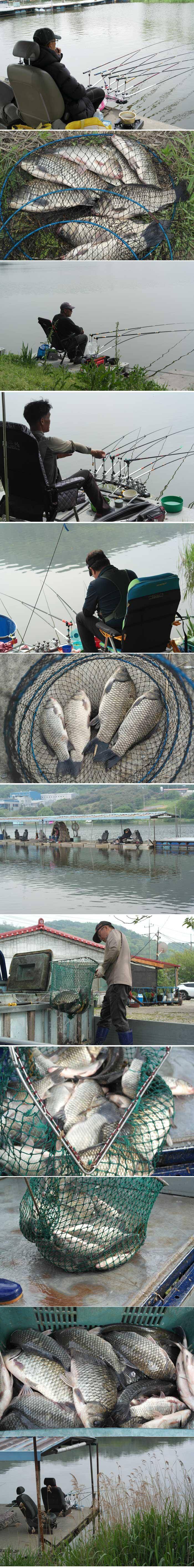 가장 어려운것은 낚시입니다 (유료터정보 - 유료터점주조황)