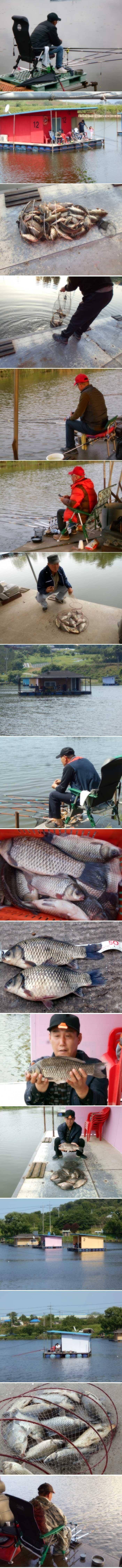 꾸준한 조황을 이어가고 있습니다 (유료터정보 - 유료터점주조황)
