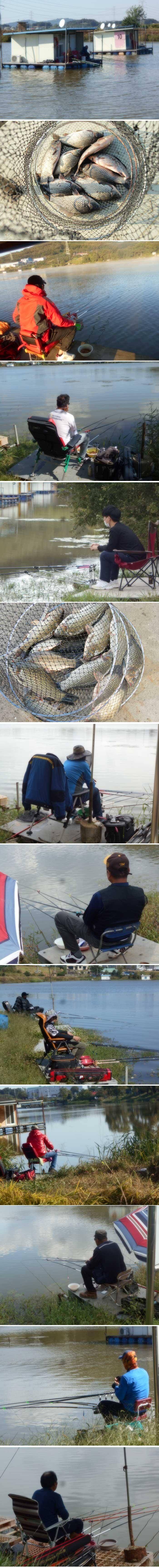 하루가 다르게 기온이 내려갑니다 (유료터정보 - 유료터점주조황)