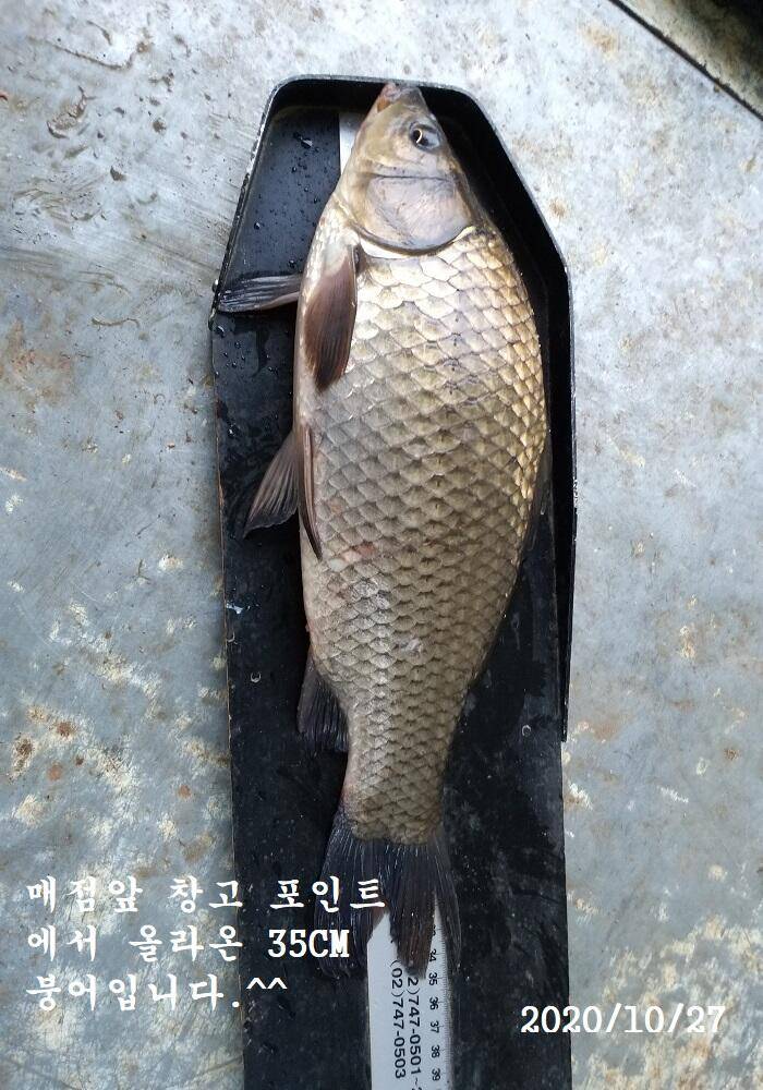 아산신수지 10월 마지막 주중 화보입니다 (유료터정보 - 유료터점주조황)