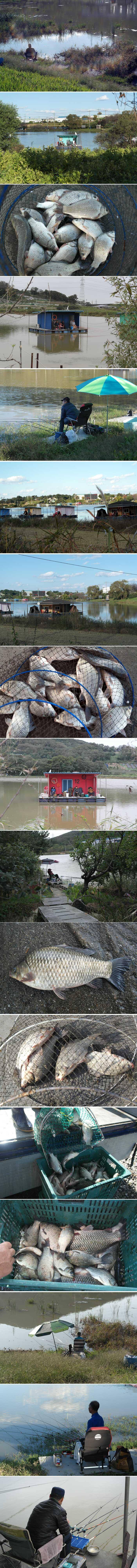 갑자기 추워지더니 (유료터정보 - 유료터점주조황)