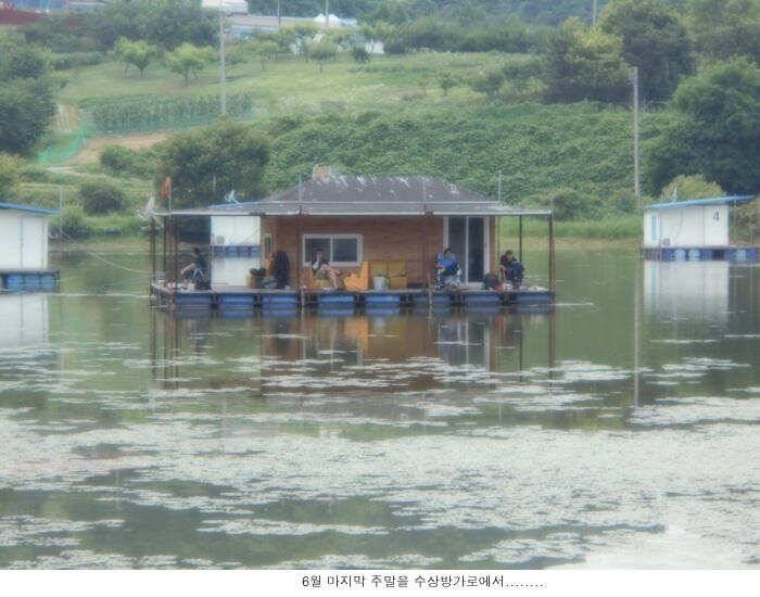 6월을 이렇게 보내렵니다 (유료터정보 - 유료터점주조황)