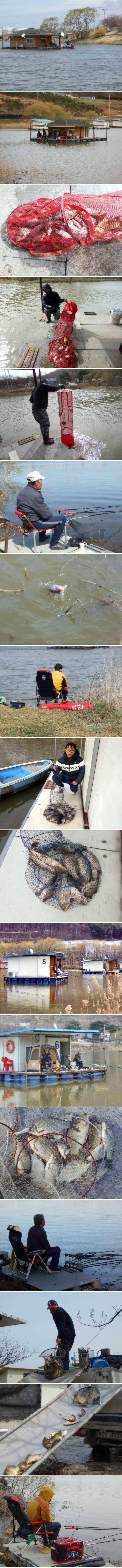 붕어가 나오니 낚시할맛납니다 (유료터정보 - 유료터점주조황)