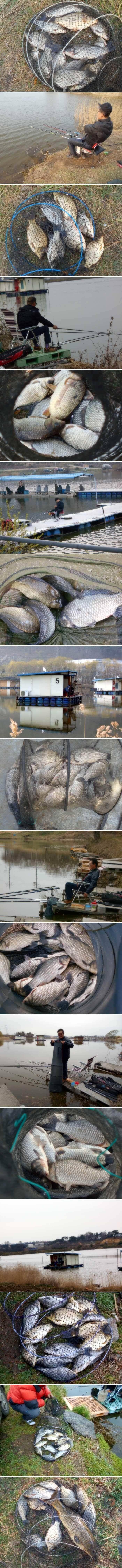 이제야 신봉지 다워집니다 (유료터정보 - 유료터점주조황)
