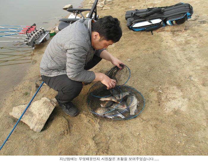 무슨일이 생긴건가 (유료터정보 - 유료터점주조황)
