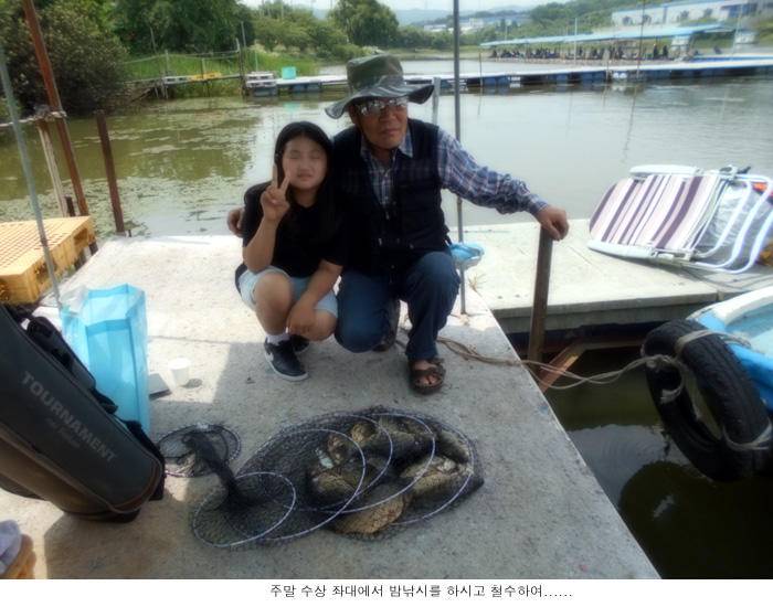 지난주 보다 한결 좋아졌습니다 (유료터정보 - 유료터점주조황)