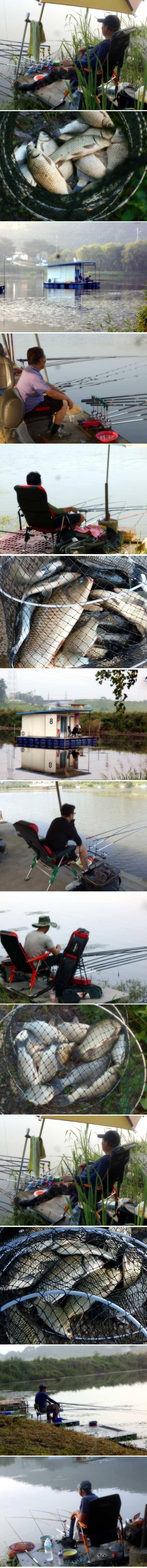 무더위 속에서도 붕어가 나옵니다 (유료터정보 - 유료터점주조황)