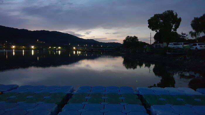 아산 명품 월랑낚시터 5월 네번째 조황이야기입니다 (유료터정보 - 유료터점주조황)