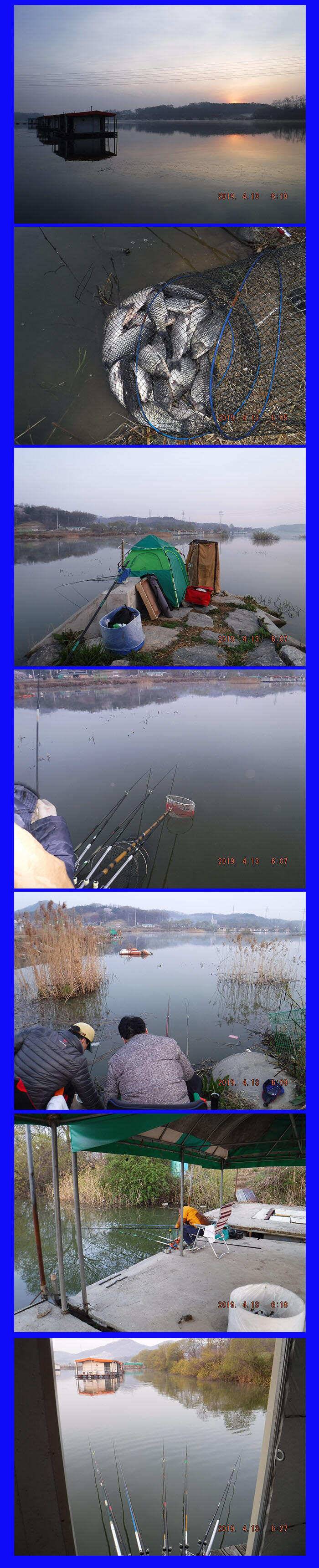 봉재낚시터 4월 13일토 조황 (유료터정보 - 유료터점주조황)