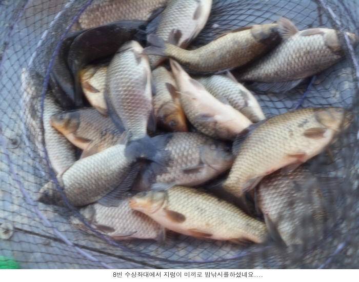 하루가 다르게 좋아지고 있습니다 (유료터정보 - 유료터점주조황)