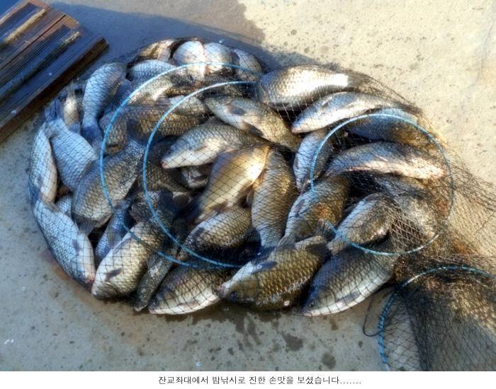손맛 보는데 어려움이 없습니다 (유료터정보 - 유료터점주조황)