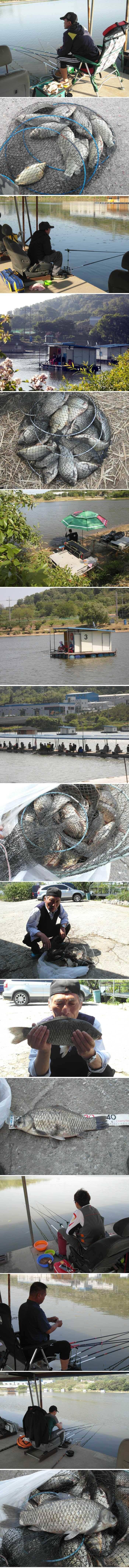 배수기에 이정도 조황이면 (유료터정보 - 유료터점주조황)