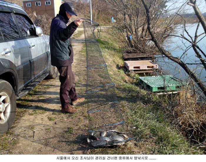 따끈따끈한 조황입니다 (유료터정보 - 유료터점주조황)