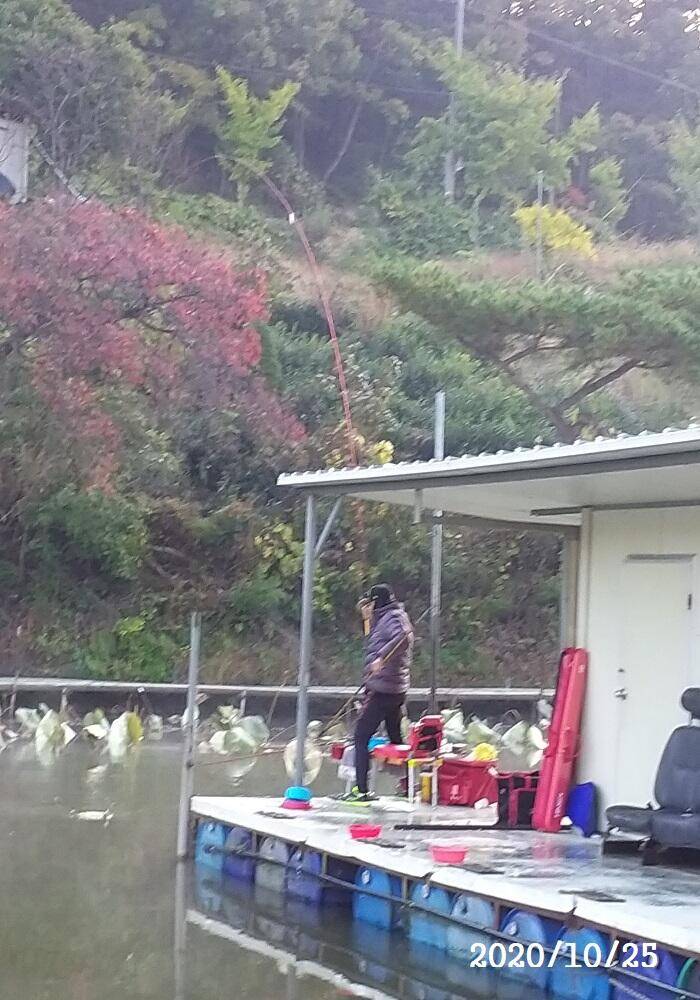 아산신수지 10월 넷째 주말 화보입니다 (유료터정보 - 유료터점주조황)