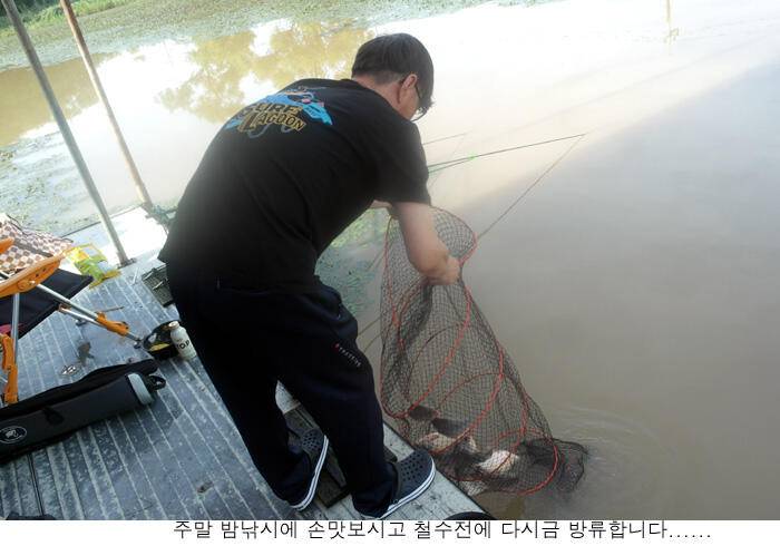 충분히 손맛 볼수있습니다 (유료터정보 - 유료터점주조황)