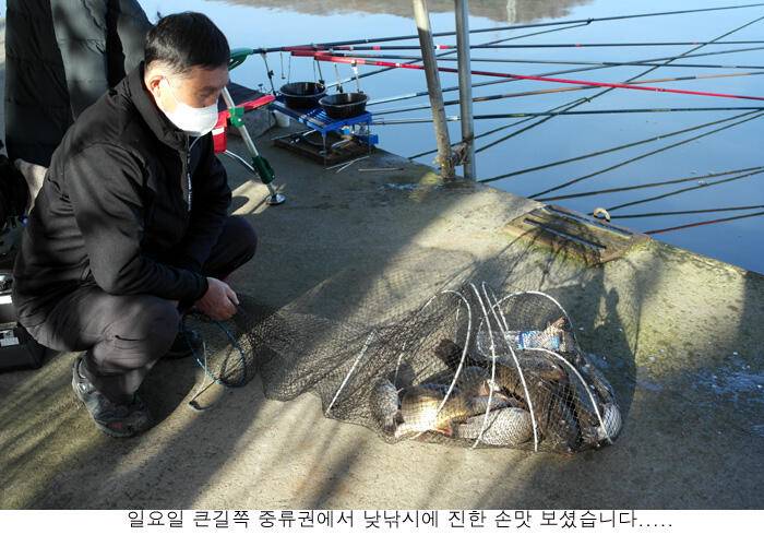 씨알좋은 붕어가 시원한 입질을 (유료터정보 - 유료터점주조황)