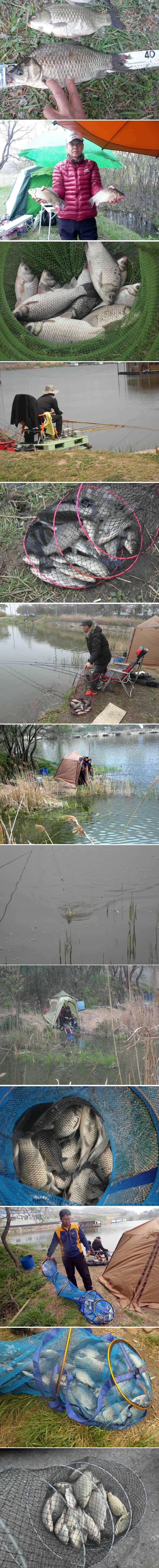 밤낚시 할만 합니다 (유료터정보 - 유료터점주조황)