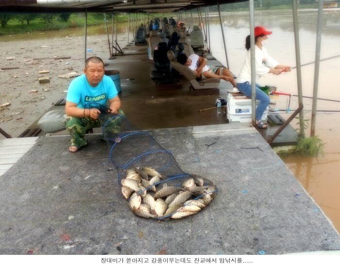 지긋지긋한 장마입니다 (유료터정보 - 유료터점주조황)