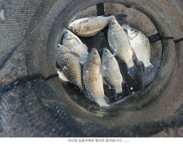 눈내리고 바람불고 (유료터정보 - 유료터점주조황)