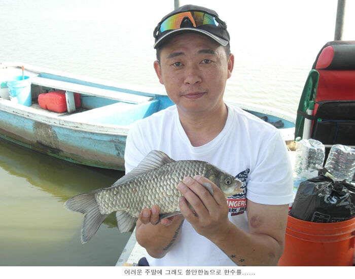 조금은 나아지고 있습니다 (유료터정보 - 유료터점주조황)