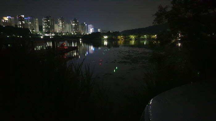 아산 명품 월랑낚시터 6월 두번째 조황이야기입니다 (유료터정보 - 유료터점주조황)