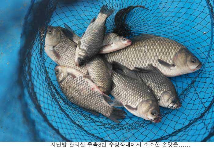 이곳은 장마가 아닌가봅니다 (유료터정보 - 유료터점주조황)