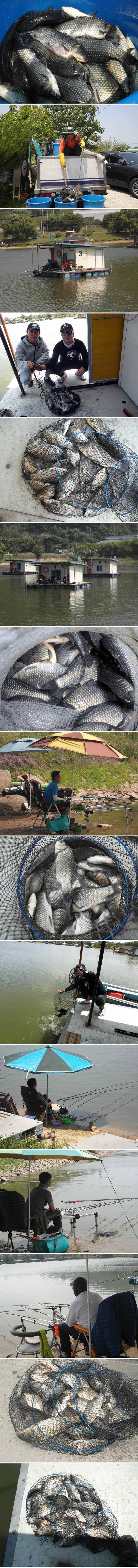 가장 저조했던 주말입니다 (유료터정보 - 유료터점주조황)